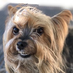 Meet your Posher, Linda